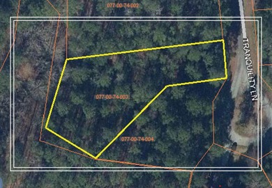 Strom Thurmond / Clarks Hill Lake Lot For Sale in Mccormick South Carolina