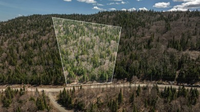 Lake Lot For Sale in Saint-Donat,