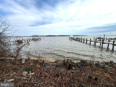 (private lake, pond, coastal) Home For Sale in Baltimore Maryland