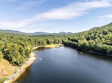 Cozy Adirondack ranch with Lake access, through Day Private - photo 29