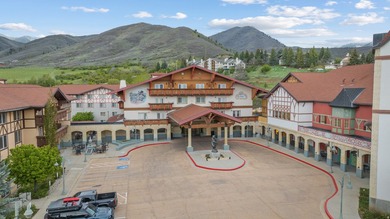 Own your own alpine escape and let it work for you. Located - photo 21