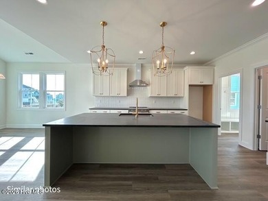 Super popular CHARLOTTE floor plan by 70 West Builders is now - photo 22