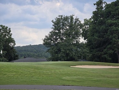 Looking for a nice level lot in a friendly golf course - photo 3