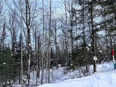 Lot 7 on Butternut Circle-Come and enjoy the peace and quiet of - photo 11