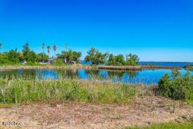BACK ON MARKET. Financing issues on buyer side. Beautiful double - photo 3