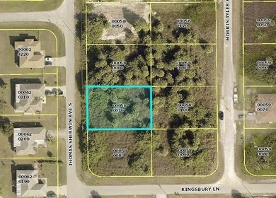 Lehigh Acres Area Lot For Sale in Lehigh Acres Florida