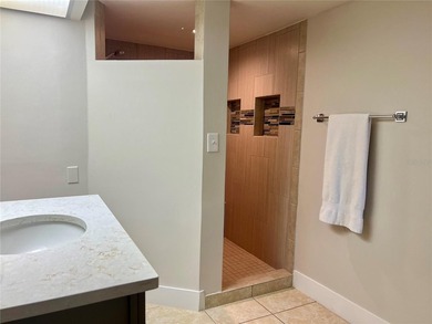 Charming Condo in the Heart of Dunedin! Discover the perfect - photo 22
