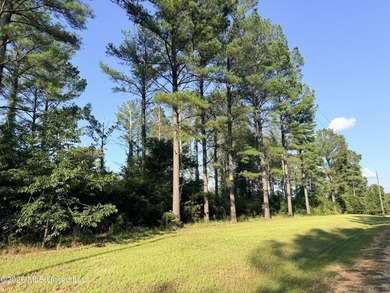 Home site in Puckett School District! Discover the perfect blend - photo 4