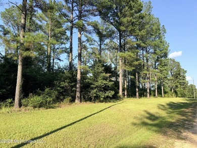 Home site in Puckett School District! Discover the perfect blend - photo 5