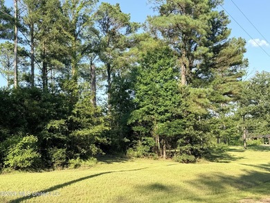 Home site in Puckett School District! Discover the perfect blend - photo 6
