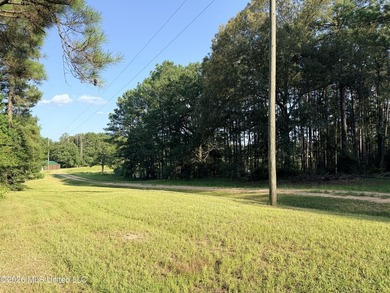 Home site in Puckett School District! Discover the perfect blend - photo 7