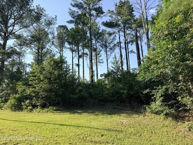 Home site in Puckett School District! Discover the perfect blend - photo 8