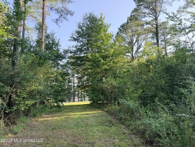 Home site in Puckett School District! Discover the perfect blend - photo 10