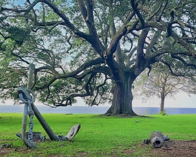 Welcome home to the prettiest neighborhood in Gautier. Huge Live - photo 5
