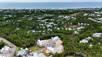 Beautiful Phase 5 homesite in Watercolor. The newest section of - photo 8