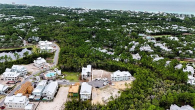 Beautiful Phase 5 homesite in Watercolor. The newest section of - photo 10
