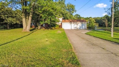 Pine Lake - Mahoning County Home Sale Pending in New Springfield Ohio