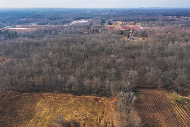 18.5 PRIME ACREAGE on M-140 in Watervliet Twp. Mature Woods with - photo 11