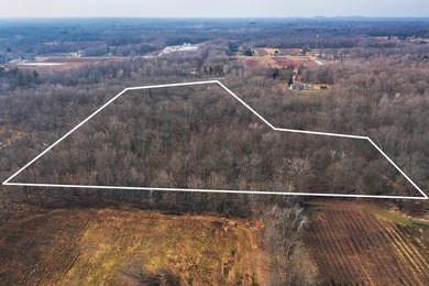 18.5 PRIME ACREAGE on M-140 in Watervliet Twp. Mature Woods with - photo 12