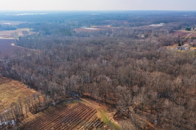 18.5 PRIME ACREAGE on M-140 in Watervliet Twp. Mature Woods with - photo 13