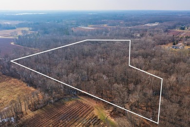 18.5 PRIME ACREAGE on M-140 in Watervliet Twp. Mature Woods with - photo 14