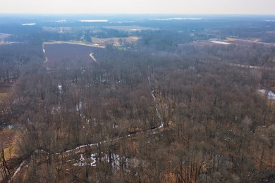 18.5 PRIME ACREAGE on M-140 in Watervliet Twp. Mature Woods with - photo 15