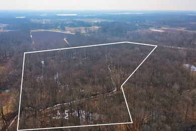 18.5 PRIME ACREAGE on M-140 in Watervliet Twp. Mature Woods with - photo 16
