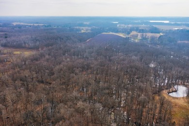 18.5 PRIME ACREAGE on M-140 in Watervliet Twp. Mature Woods with - photo 17