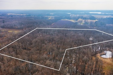 18.5 PRIME ACREAGE on M-140 in Watervliet Twp. Mature Woods with - photo 18