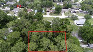 Lake Haines Lot For Sale in Leesburg Florida