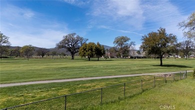 Golf Course Perfection. Nestled within a vibrant gated community - photo 10