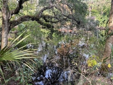 An unparalleled 1.4-acre oasis along the Withlacoochee River - photo 2