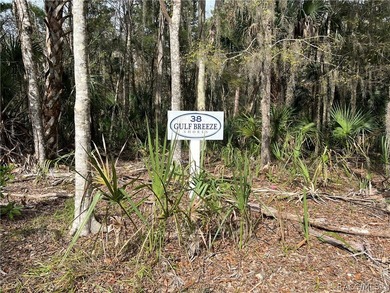 An unparalleled 1.4-acre oasis along the Withlacoochee River - photo 3