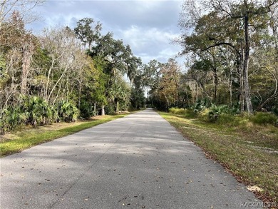 An unparalleled 1.4-acre oasis along the Withlacoochee River - photo 4
