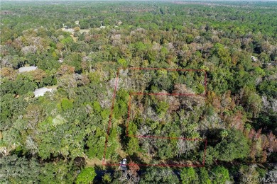 An unparalleled 1.4-acre oasis along the Withlacoochee River - photo 5