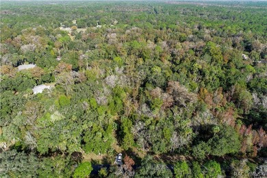 An unparalleled 1.4-acre oasis along the Withlacoochee River - photo 6