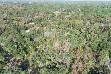 An unparalleled 1.4-acre oasis along the Withlacoochee River - photo 7