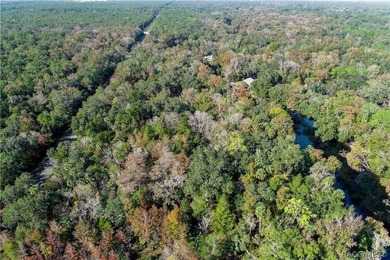 An unparalleled 1.4-acre oasis along the Withlacoochee River - photo 8