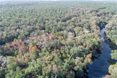 An unparalleled 1.4-acre oasis along the Withlacoochee River - photo 9