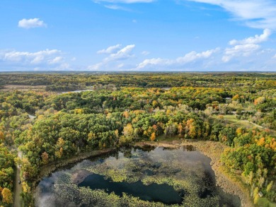 Wild Goose Lake Acreage For Sale in Gregory Michigan