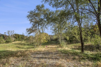 Wild Goose Lake Acreage For Sale in Gregory Michigan