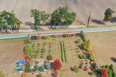 0.81 acre lot with an orchard w/ fruit trees, berry bushes - Lake Lot For Sale in Three Rivers, Michigan