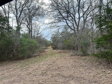 (private lake, pond, coastal) Acreage For Sale in Flatonia Texas