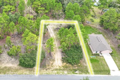 Lake Lot For Sale in Citrus Springs, Florida