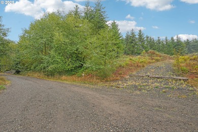 Silver Lake - Cowlitz County Lot For Sale in Castlerock Washington