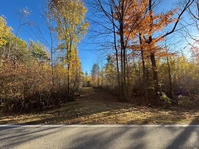 (private lake, pond, creek) Acreage For Sale in Reed City Michigan