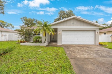 (private lake, pond, creek) Home For Sale in Seminole Florida