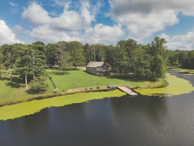 Lake Home For Sale in Coalmont, Tennessee