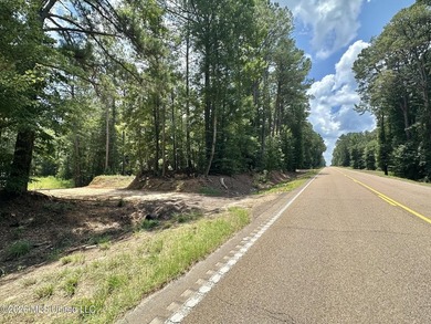 +/- 15 acre homesite or recreational property in Leake County - photo 1