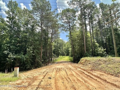 +/- 15 acre homesite or recreational property in Leake County - photo 2